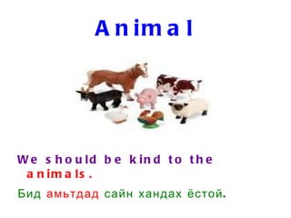Animal ,[object Object]