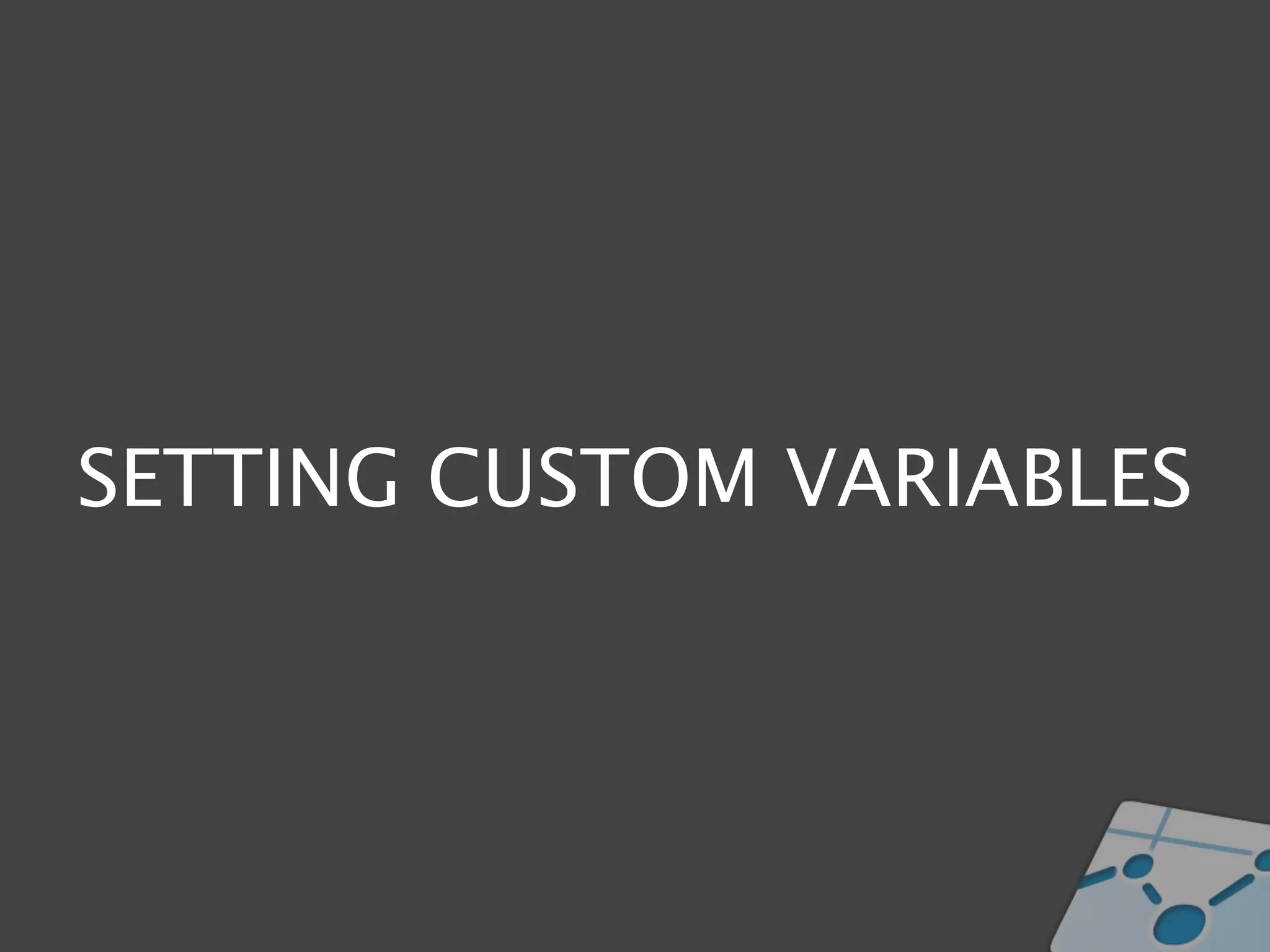 SETTING CUSTOM VARIABLES
 
