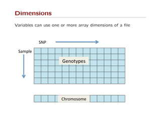 Dimensions
Variables can use one or more array dimensions of a ﬁle
!"#$
!%&'()$
*)+,-.')/$
012,&,/,&)$
 