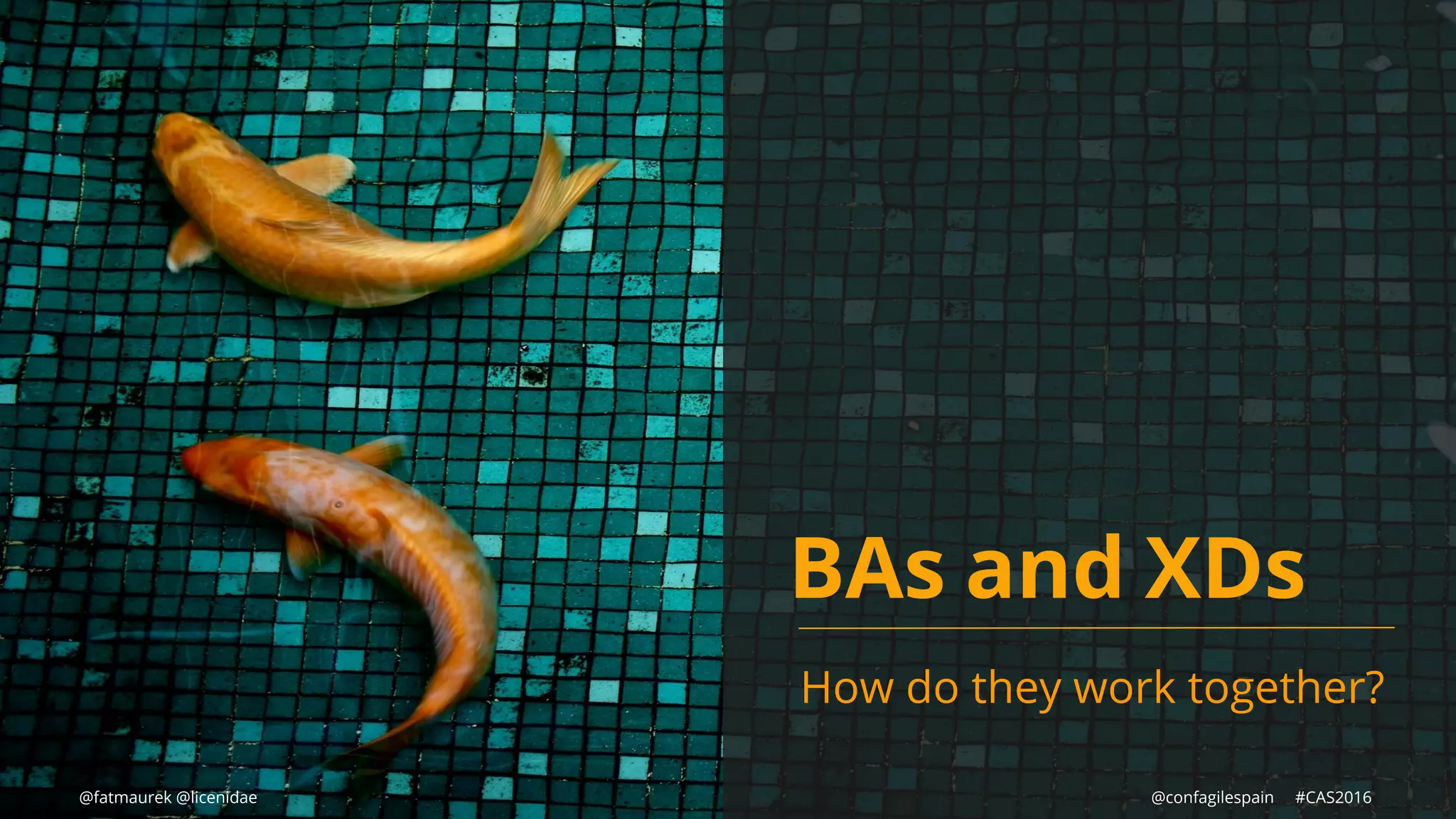 BAs and XDs
How do they work together?
@fatmaurek @licenidae @confagilespain #CAS2016
 