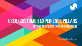 User/Customer Experience Pillars