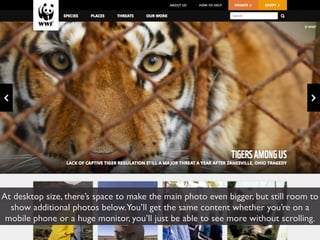 At desktop size, there’s space to make the main photo even bigger, but still room to
  show additional photos below.You’ll get the same content whether you’re on a
 mobile phone or a huge monitor, you’ll just be able to see more without scrolling.
 