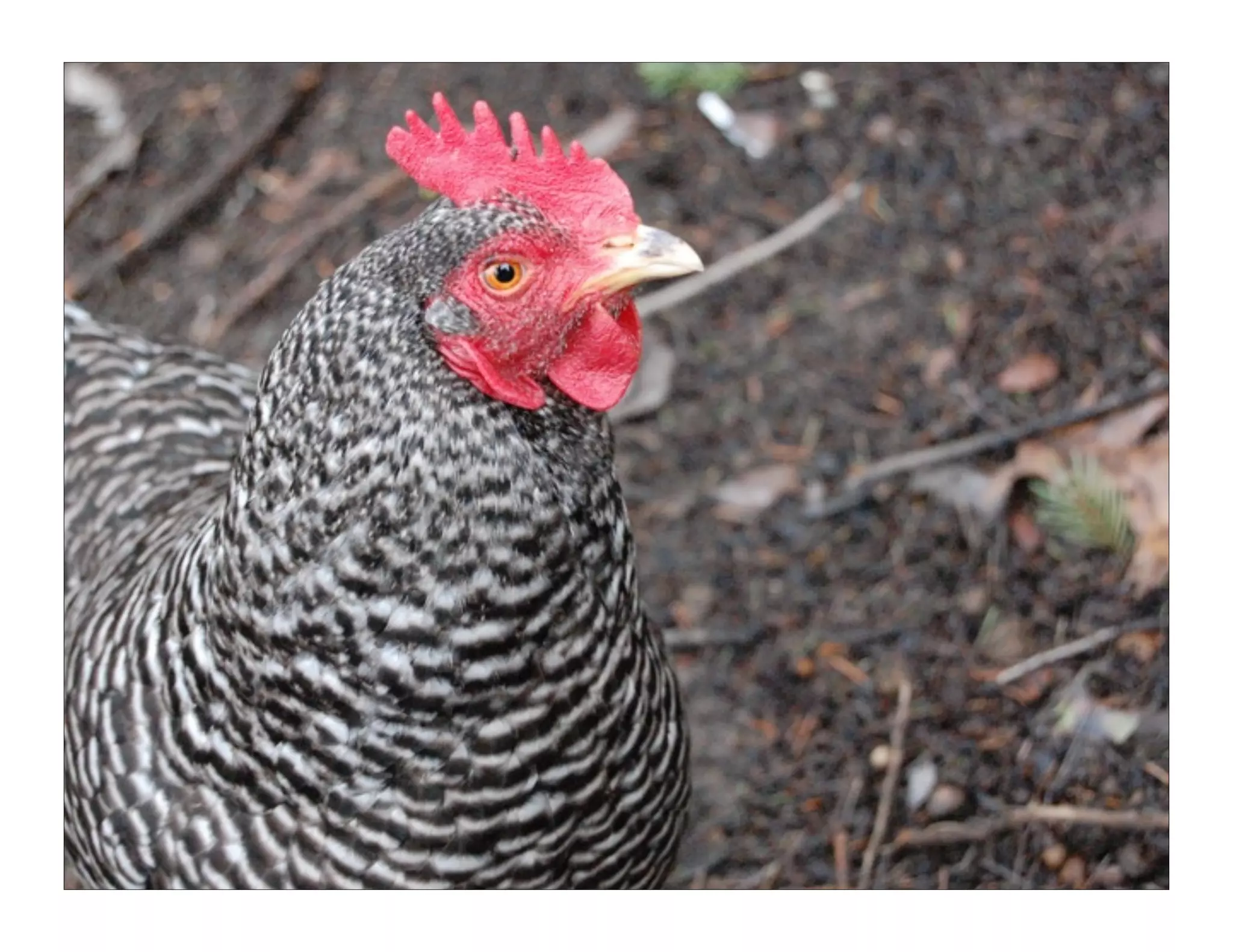 Leading Without Being In Charge