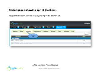 Agilebuddy Reviwers Guide