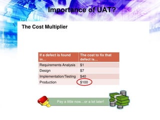 Importance of UAT?

 