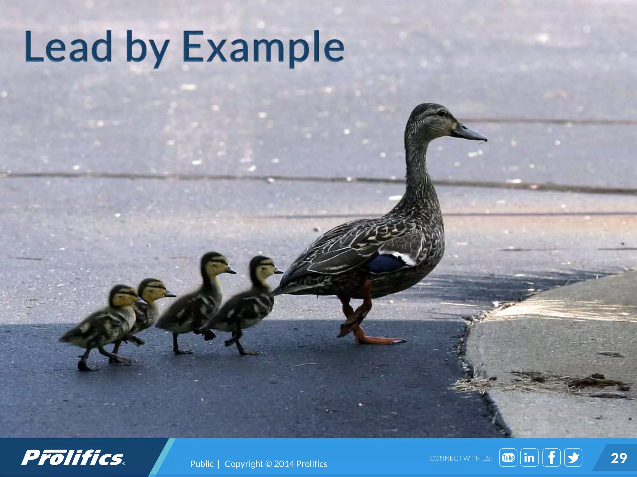 CONNECT WITH US: 29Public | Copyright © 2014 Prolifics
 