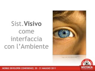 Sist.Visivo
     come
  interfaccia
con l’Ambiente
                 image credit: ﬂickr @ chefranden
 