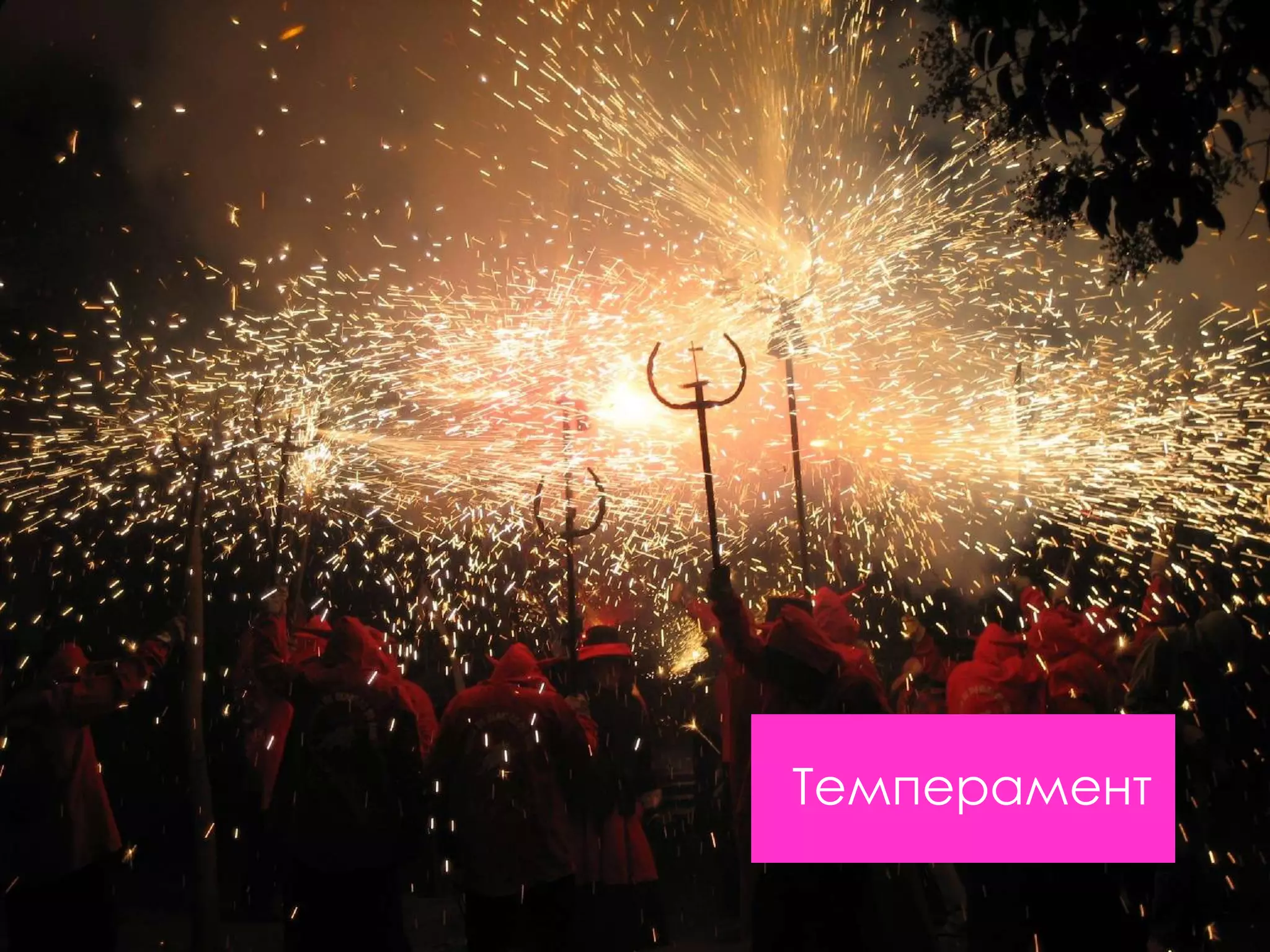 Темперамент
 