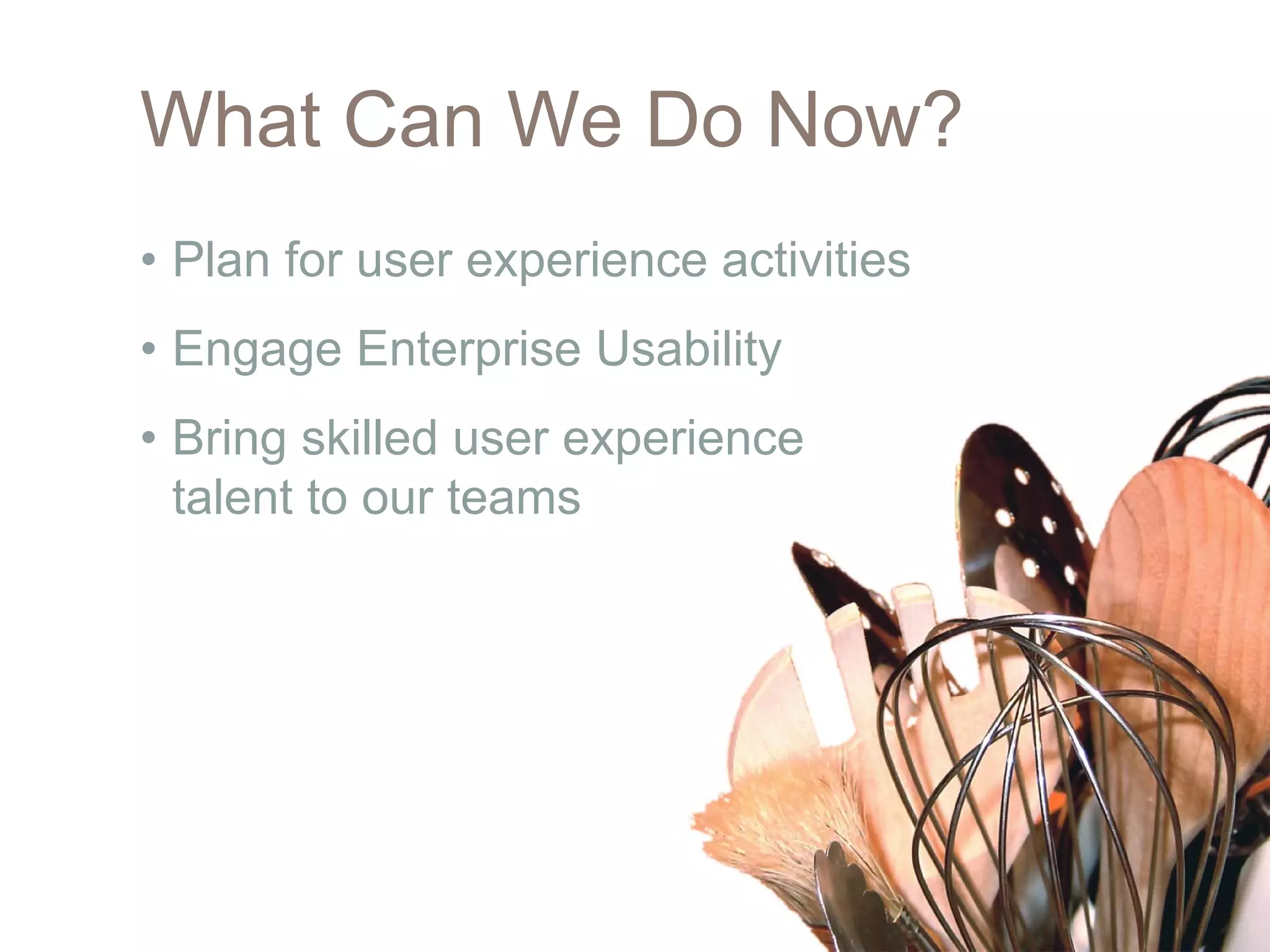 What Can We Do Now?
• Plan for user experience activities
• Engage Enterprise Usability
• Bring skilled user experience
  talent to our teams
 