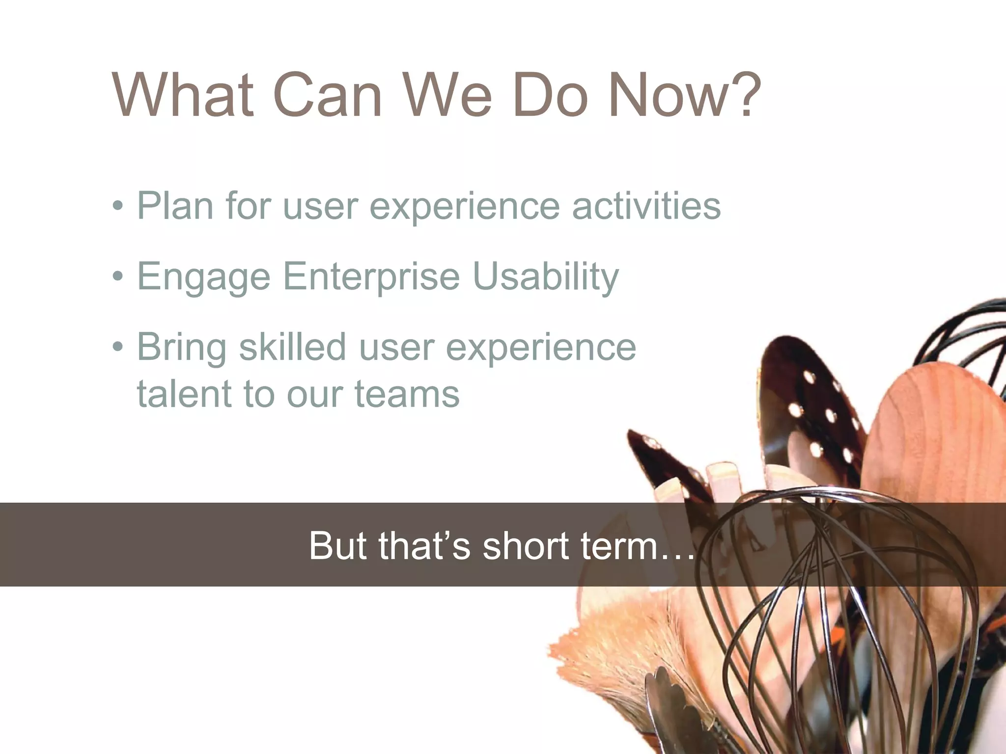 What Can We Do Now?
• Plan for user experience activities
• Engage Enterprise Usability
• Bring skilled user experience
  talent to our teams


           But that’s short term…
 