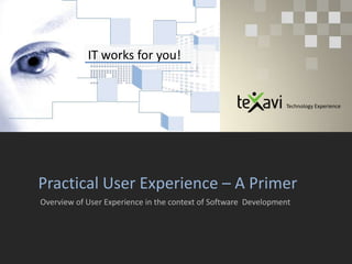 IT works for you! Technology Experience Practical User Experience – A Primer  Overview of User Experience in the context of Software  Development  