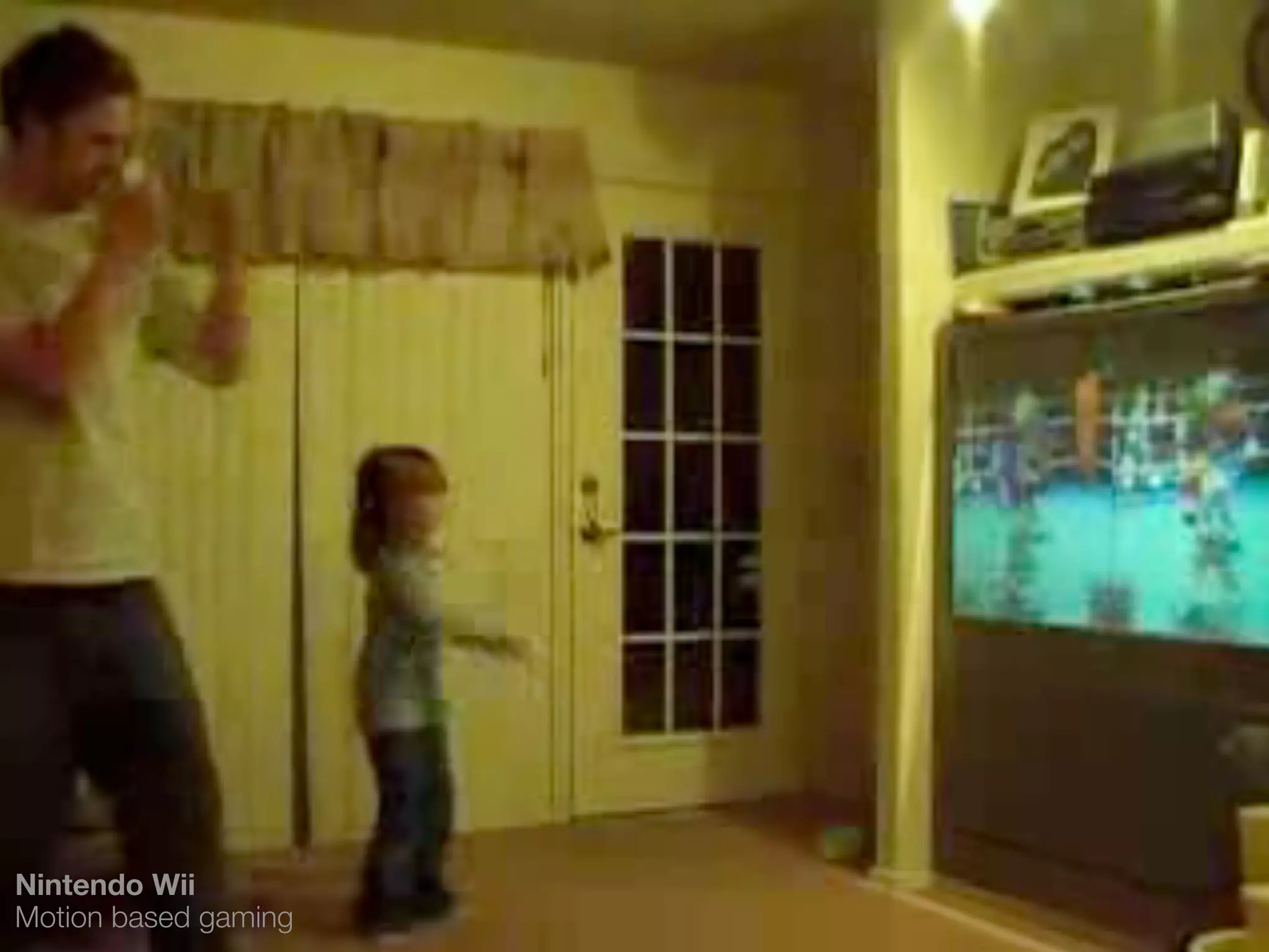 Nintendo Wii
Motion based gaming
 