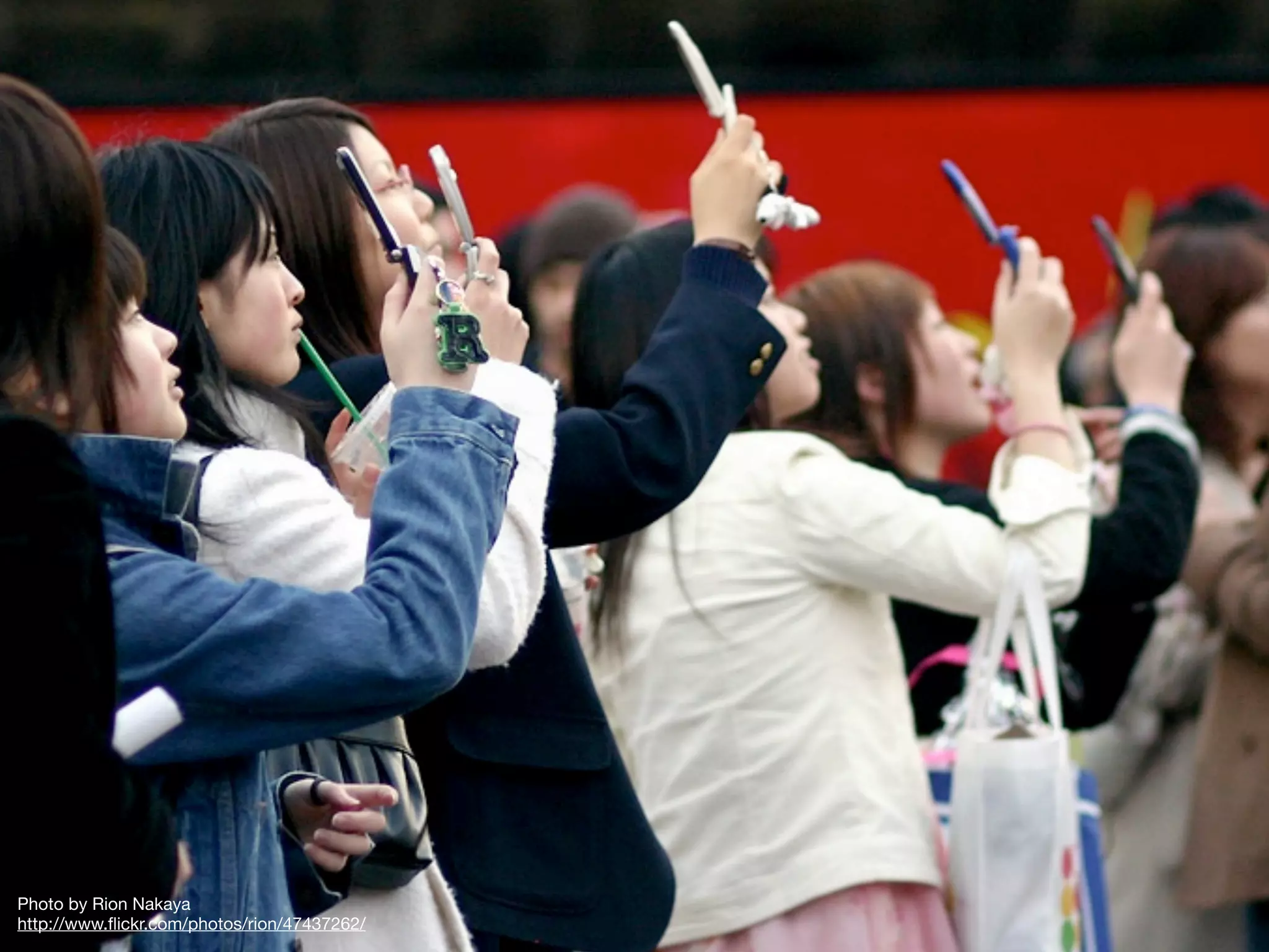 Photo by Rion Nakaya
http://www.ﬂickr.com/photos/rion/47437262/
 