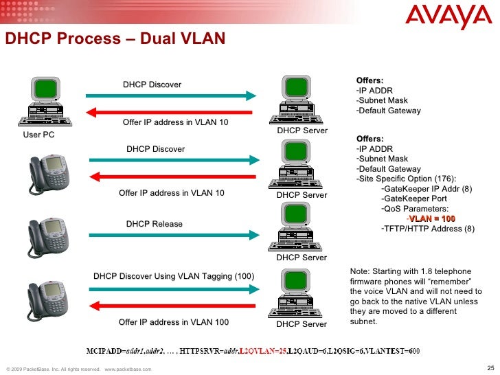 Avaya VoIP on Cisco Best Practices by PacketBase
