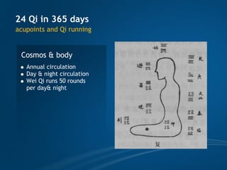 TCM wellness by Time, Tao of Chi