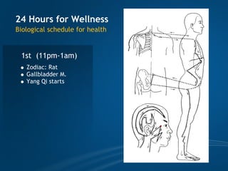 TCM wellness by Time, Tao of Chi