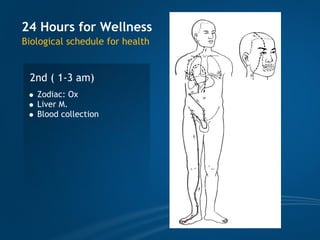 TCM wellness by Time, Tao of Chi
