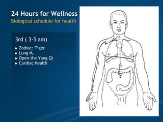 TCM wellness by Time, Tao of Chi