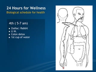 TCM wellness by Time, Tao of Chi