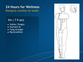 TCM wellness by Time, Tao of Chi