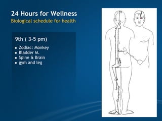 TCM wellness by Time, Tao of Chi