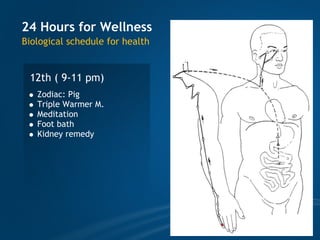 TCM wellness by Time, Tao of Chi