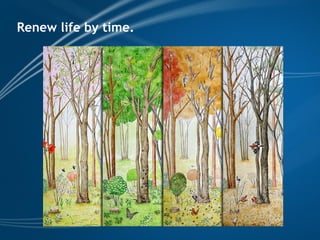 TCM wellness by Time, Tao of Chi