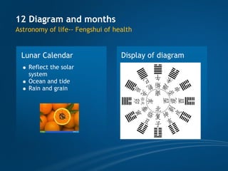 TCM wellness by Time, Tao of Chi