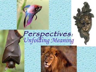 Perspectives : Unfolding Meaning 
