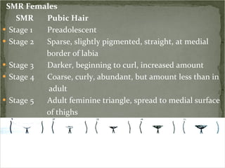 SMR Females  SMR Pubic Hair Stage 1 Preadolescent Stage 2 Sparse, slightly pigmented, straight, at medial  border of labia Stage 3 Darker, beginning to curl, increased amount Stage 4 Coarse, curly, abundant, but amount less than in adult Stage 5 Adult feminine triangle, spread to medial surface of thighs 