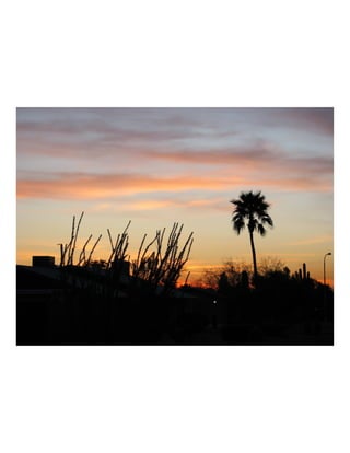 Sunset 2/20