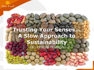 Trusting Your Senses... A Slow Approach to Sustainability Dr. Ursula Hudson 