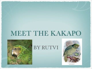 Kakapo Keynote