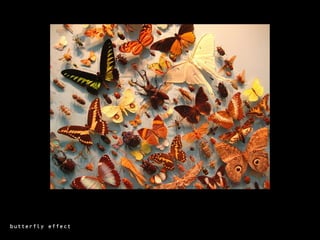 butterfly effect
 