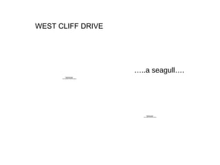 WEST CLIFF DRIVE … ..a seagull…. 