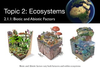 Structure of Ecosystems