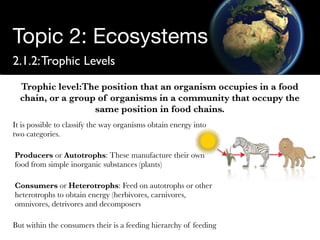 Structure of Ecosystems