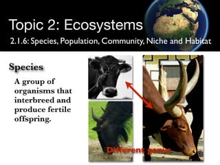 Structure of Ecosystems