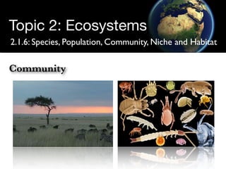 Structure of Ecosystems