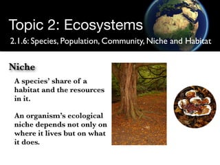 Structure of Ecosystems