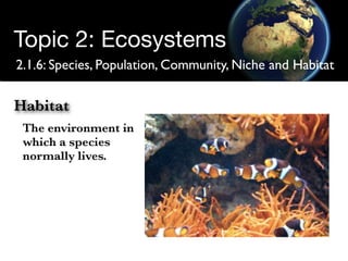 Structure of Ecosystems