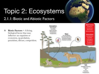 Structure of Ecosystems