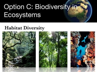 Option C: Biodiversity in
Ecosystems
Habitat Diversity
 