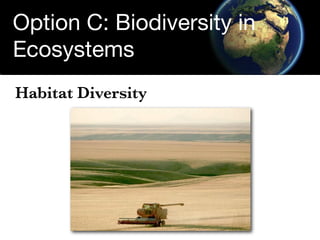 Option C: Biodiversity in
Ecosystems
Habitat Diversity
 