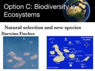 Option C: Biodiversity in
 Ecosystems
 Natural selection and new species
Darwins Finches
 