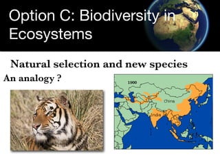 Option C: Biodiversity in
 Ecosystems
 Natural selection and new species
An analogy ?
 