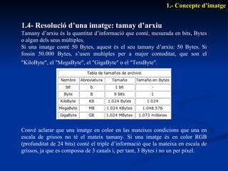 1.4- Resolució d’una imatge: tamay d’arxiu Tamany d’arxiu  és  la quantitat d’informació que cont é , mesurada en bits, Bytes o algun dels seus múltiples. Si una imatge cont é  50 Bytes, aquest  é s el seu tamany d’arxiu: 50 Bytes. Si fossin 50.000 Bytes, s’usen multiples per a major comoditat, que son el "KiloByte", el "MegaByte", el "GigaByte" o el "TeraByte".   1.- Concepte d’imatge Conv é  aclarar que una imatge en color en las mateixes condicions que una en escala de grissos no t é  el mateix tamany. Si una imatge  é s en color RGB (profunditat de 24 bits) cont é  el triple d’informació que la mateixa en escala de grissos, ja que es compossa de 3 canals i, per tant, 3 Bytes i no un per píxel. 