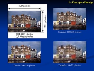 1.- Concepte d’imatge Tamaño: 200x131 píxeles Tamaño: 100x66 píxeles Tamaño: 50x33 píxeles 