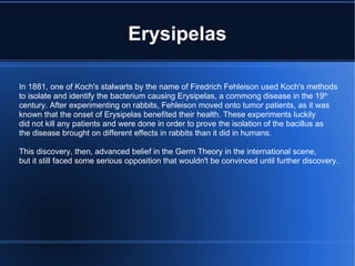 Erysipelas In 1881, one of Koch's stalwarts by the name of Firedrich Fehleison used Koch's methods to isolate and identify the bacterium causing Erysipelas, a commong disease in the 19 th   century. After experimenting on rabbits, Fehleison moved onto tumor patients, as it was  known that the onset of Erysipelas benefited their health. These experiments luckily did not kill any patients and were done in order to prove the isolation of the bacillus as the disease brought on different effects in rabbits than it did in humans. This discovery, then, advanced belief in the Germ Theory in the international scene, but it still faced some serious opposition that wouldn't be convinced until further discovery. 