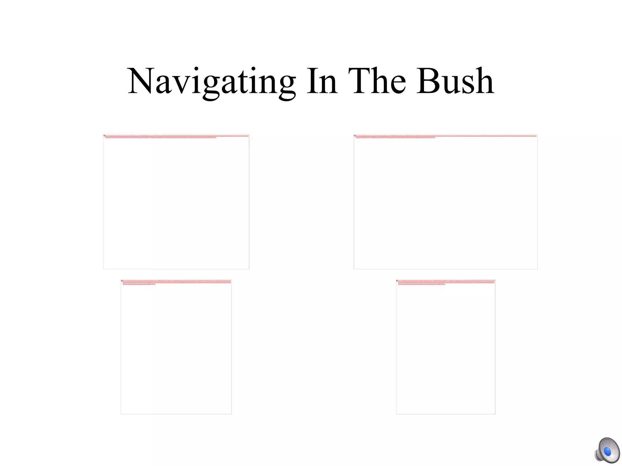 Navigating In The Bush 